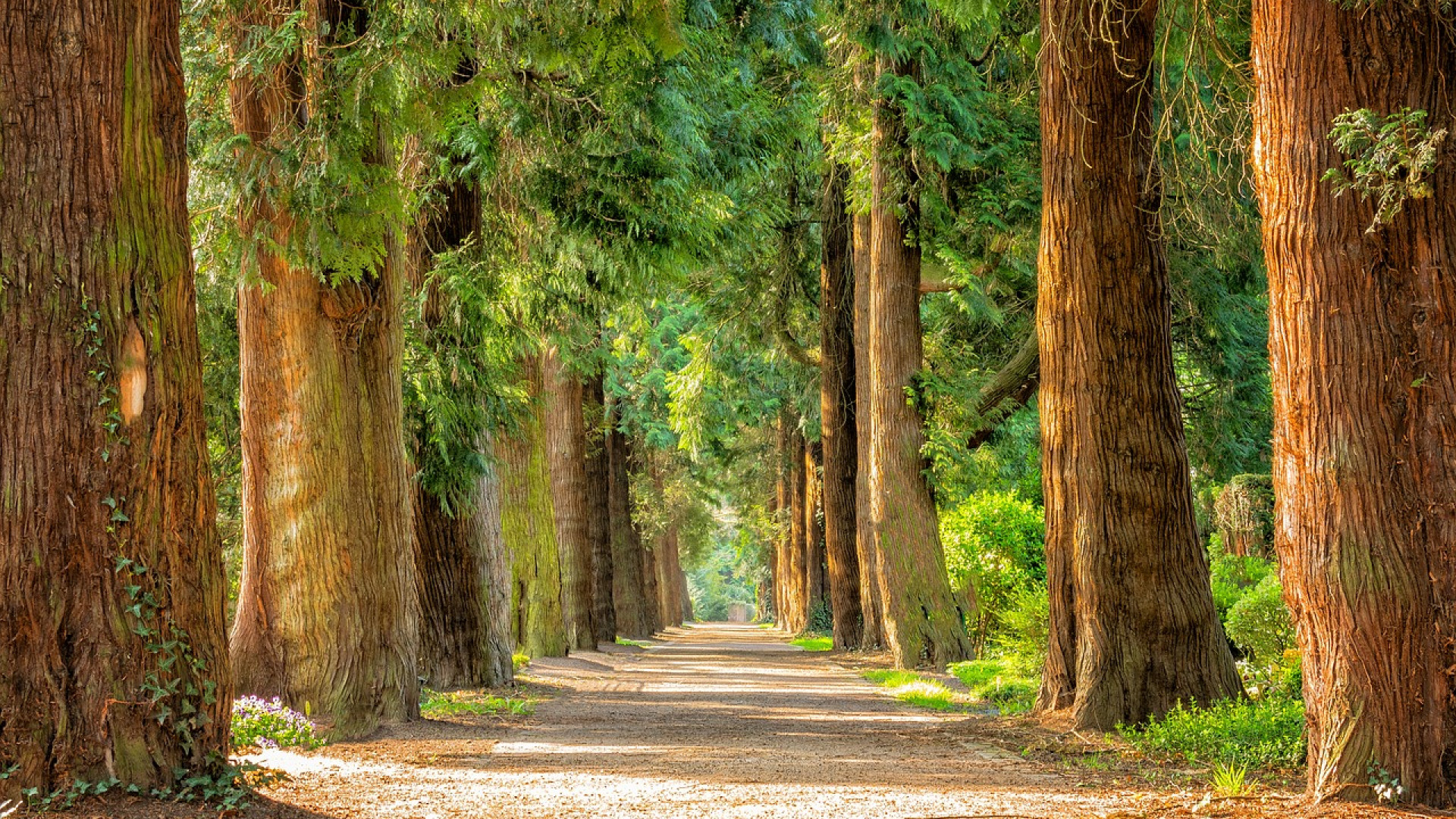 Sarthe : 3 forêts à découvrir dans ce département