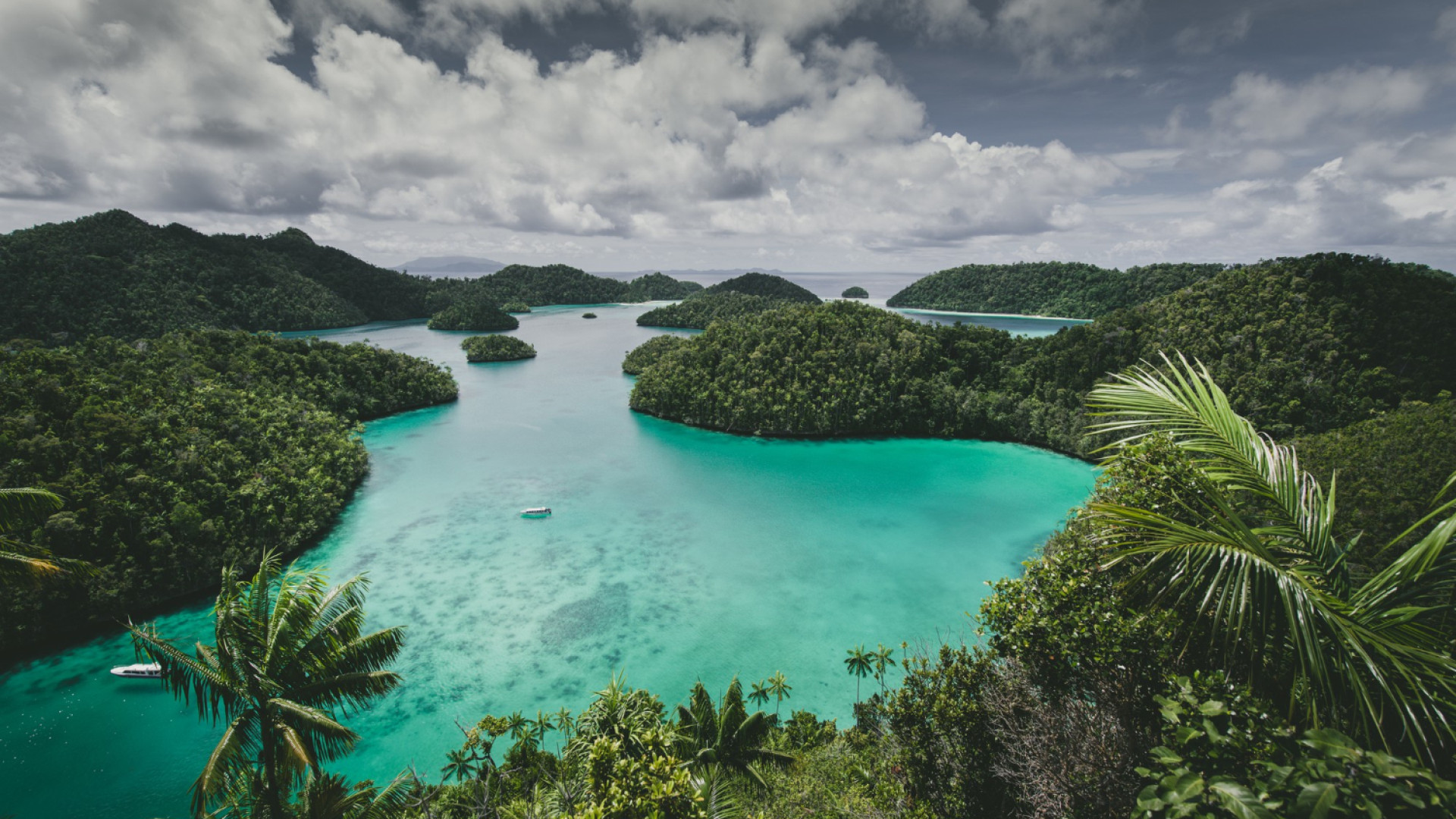 Quand réserver sa croisière en Polynésie pour bénéficier des meilleurs prix ?