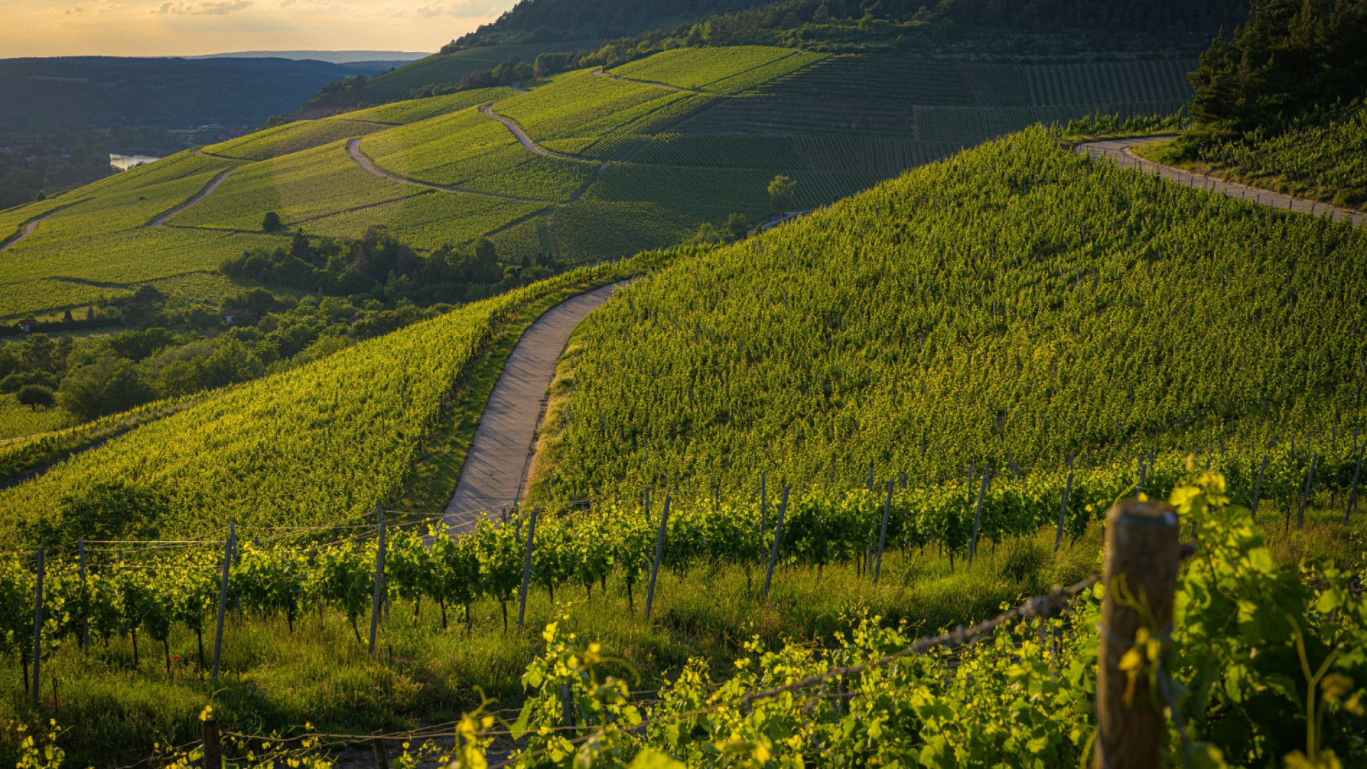 Château de Sancerre : un lieu chargé d’histoire au cœur du vignoble